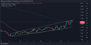 Los bajistas ATOM se hacen cargo de una breve fiesta alcista: decodificando el "por qué"