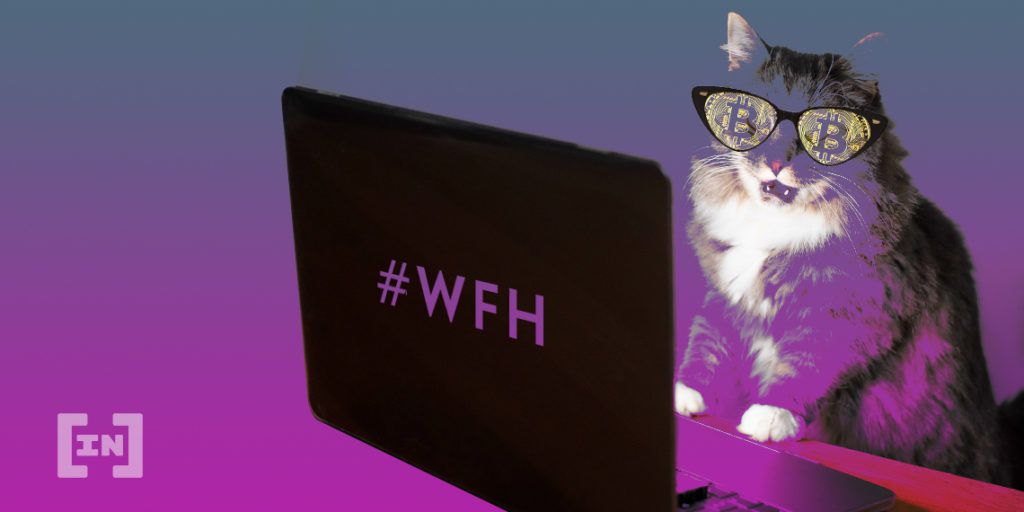 BTC trabajando desde casa