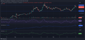¿Es esencial tener Chiliz para que los inversores venzan el mercado bajista?