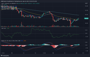 Los inversores de EGLD finalmente pueden obtener una victoria, ¿es el último desarrollo de Elrond la razón?