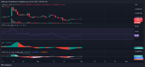 Aquí es donde Shiba Inu [SHIB] puede aterrizar en el día D de Eternity