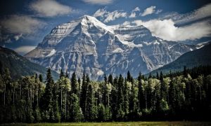 El 30% de los canadienses planean comprar criptomonedas a medida que OSC adopta la 'neutralidad tecnológica'