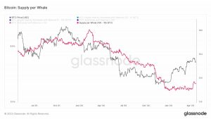 Las ballenas BTC optimistas pueden tener que hacer algo más que acumular, he aquí por qué...